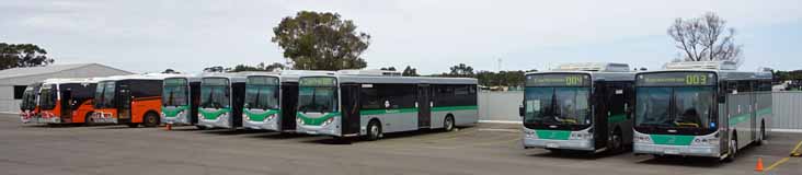 Busy Blue Bus Trans Esperance depot